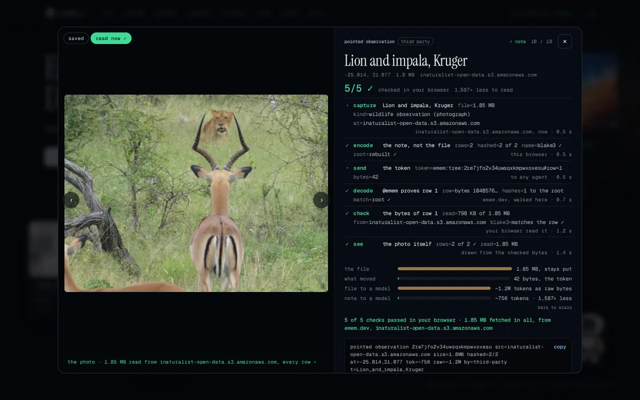 vortx.ai: a photo drawn from checked bytes